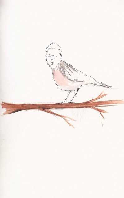 The Birds